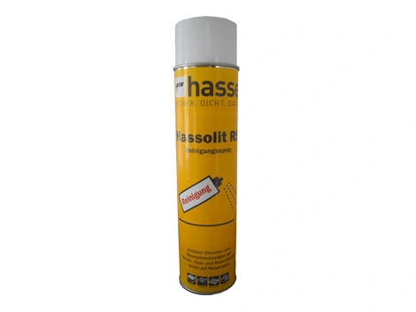 Hasse Hassolit RS Reinigungsspray 600 ml